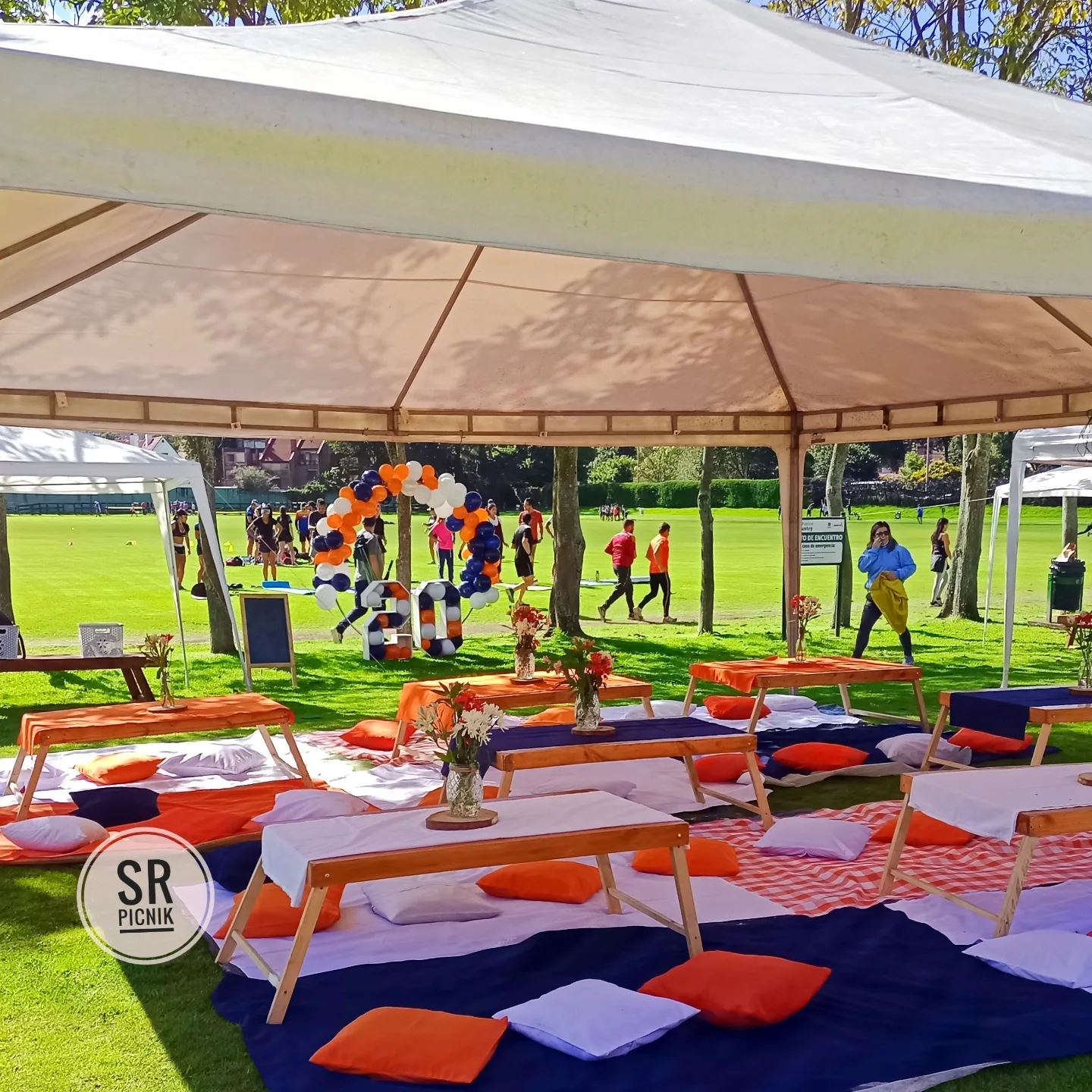 Línea Premium Grupo 36